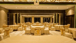 Hotel Millennium Park - Conference Hall